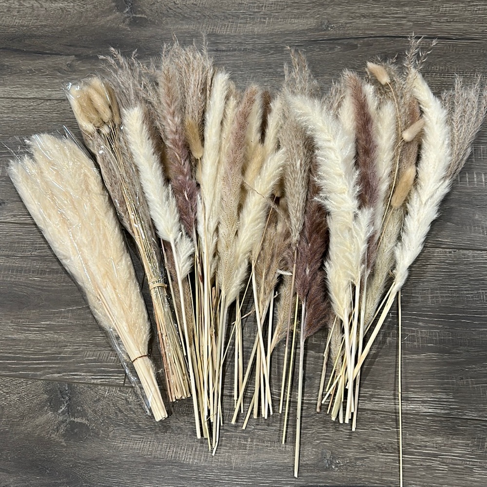 Pampas grass